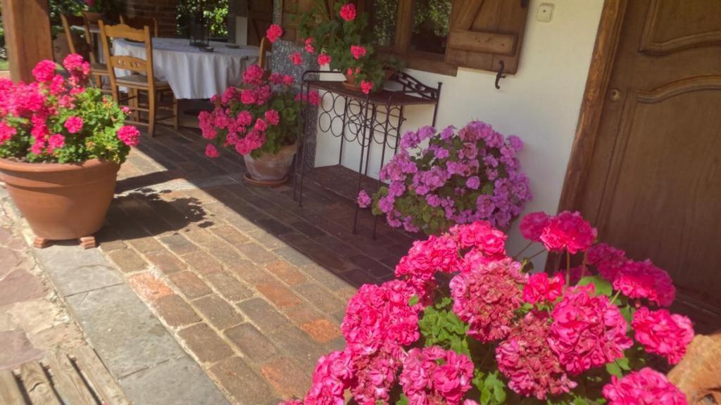 오헤도 Excepcional Casa El Olivo 빌라 외부 사진